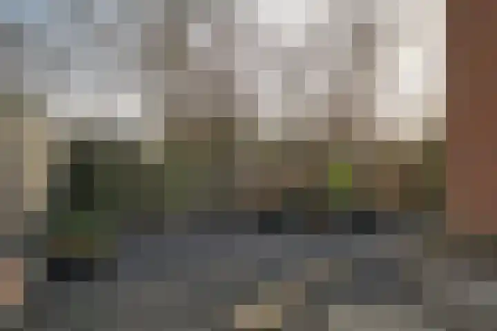 Waterradmolen 10 Heerhugowaard thumbnail 20
