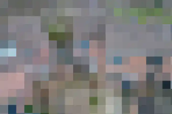 Waterradmolen 10 Heerhugowaard thumbnail 43