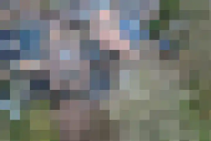 Waterradmolen 10 Heerhugowaard thumbnail 44