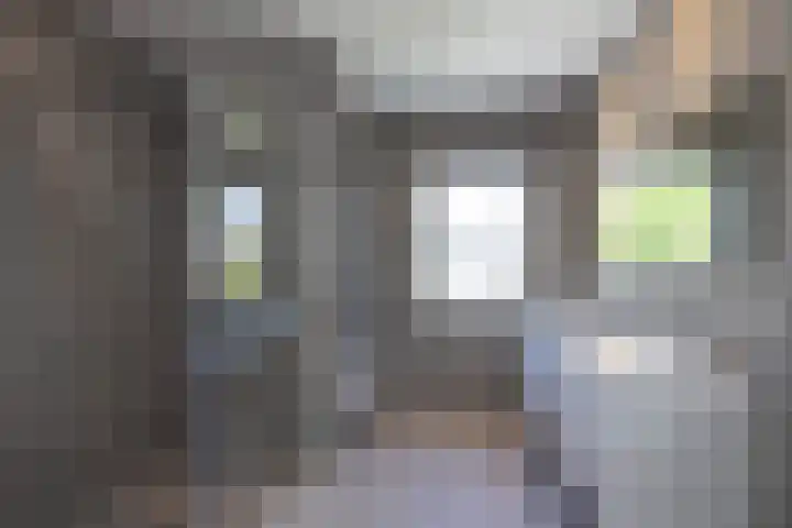 Waterradmolen 17 de Lutte thumbnail 15
