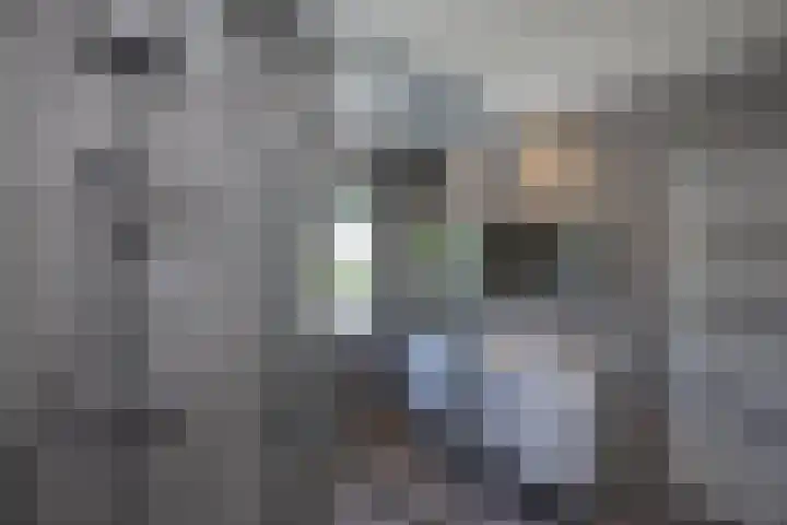 Waterradmolen 17 de Lutte thumbnail 16