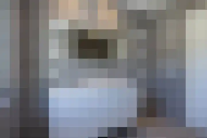 Waterradmolen 17 de Lutte thumbnail 17