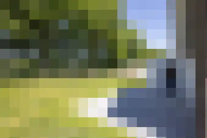 Waterradmolen 17 de Lutte thumbnail 18