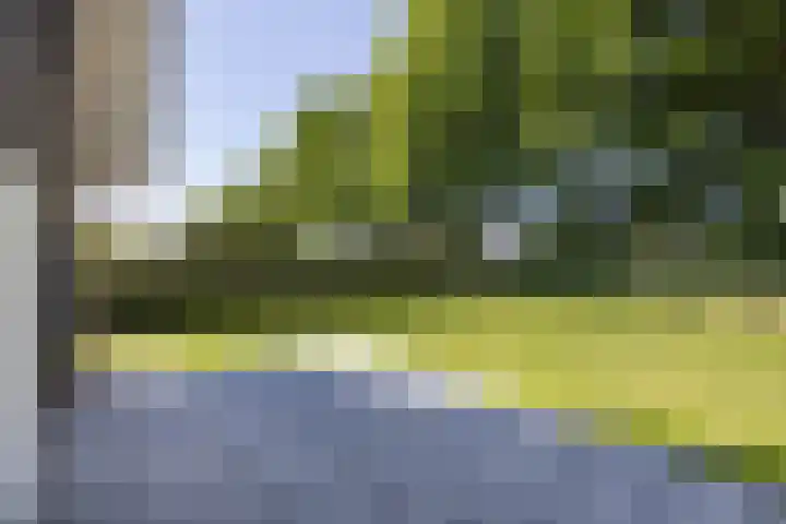 Waterradmolen 17 de Lutte thumbnail 19