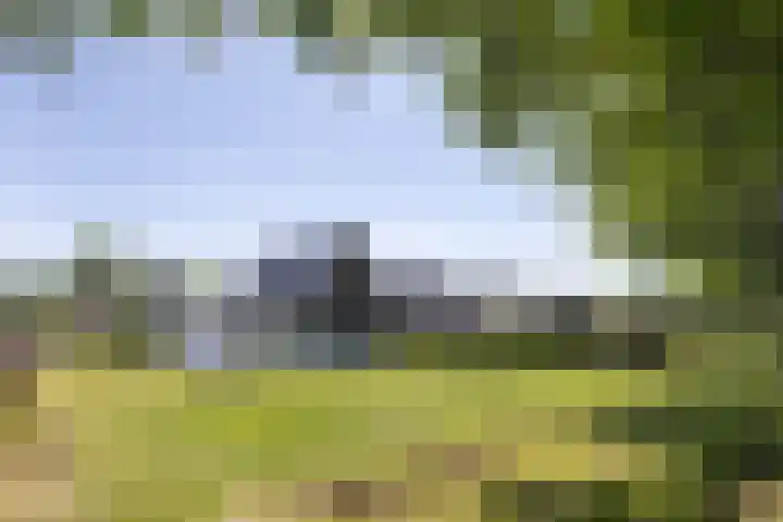 Waterradmolen 17 de Lutte thumbnail 20