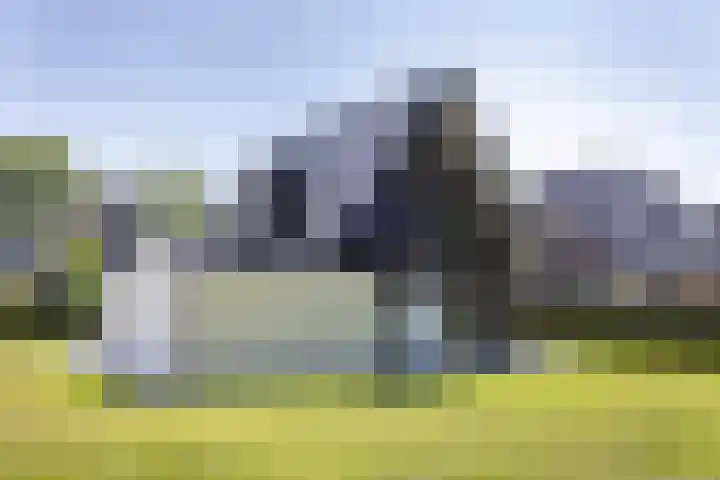 Waterradmolen 17 de Lutte thumbnail 21