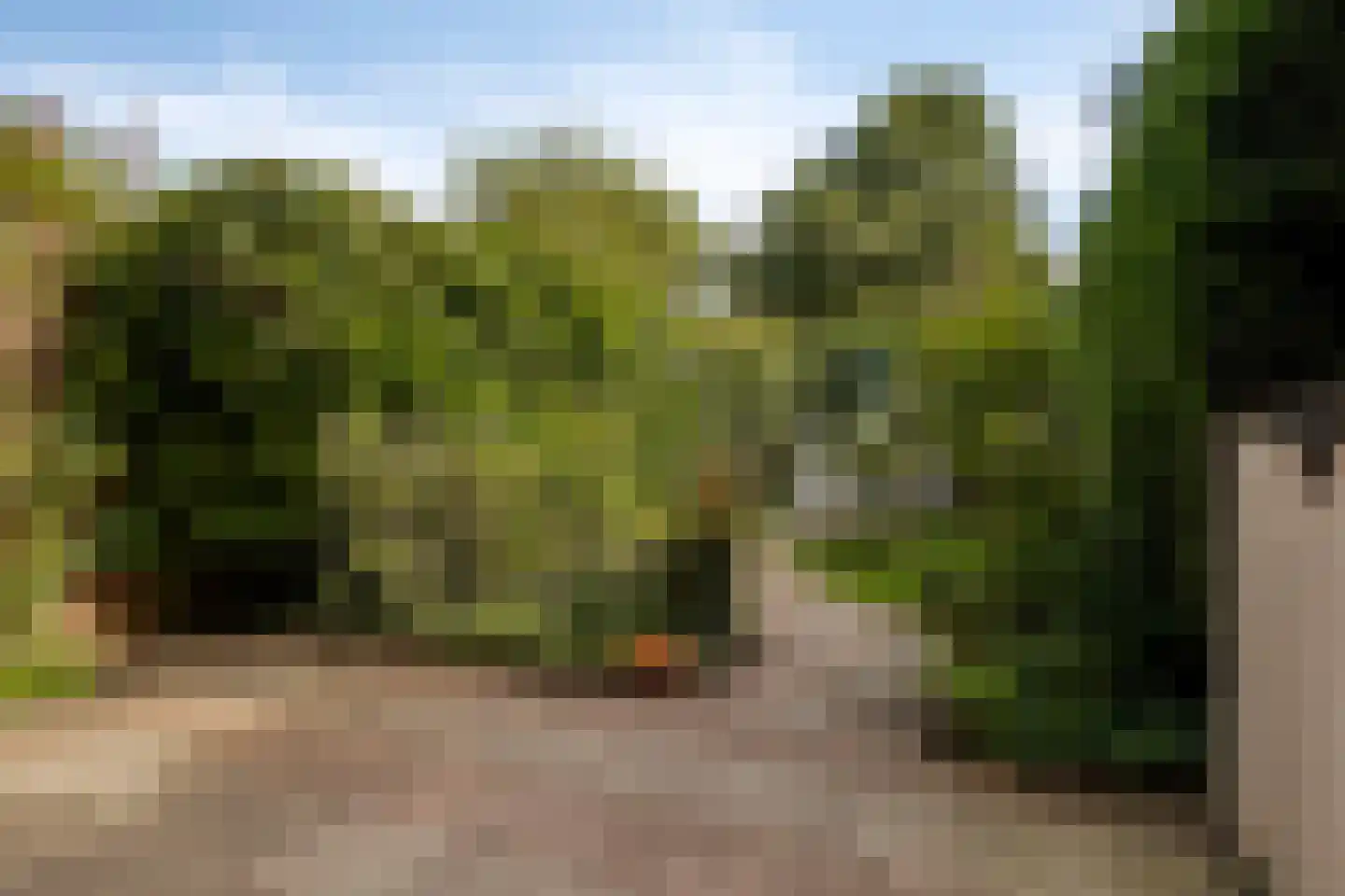 Waterradmolen 22 Heerhugowaard thumbnail 17