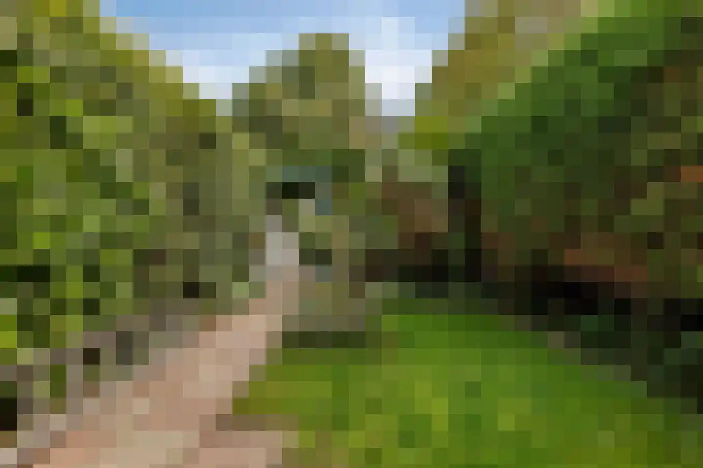 Waterradmolen 22 Heerhugowaard thumbnail 18