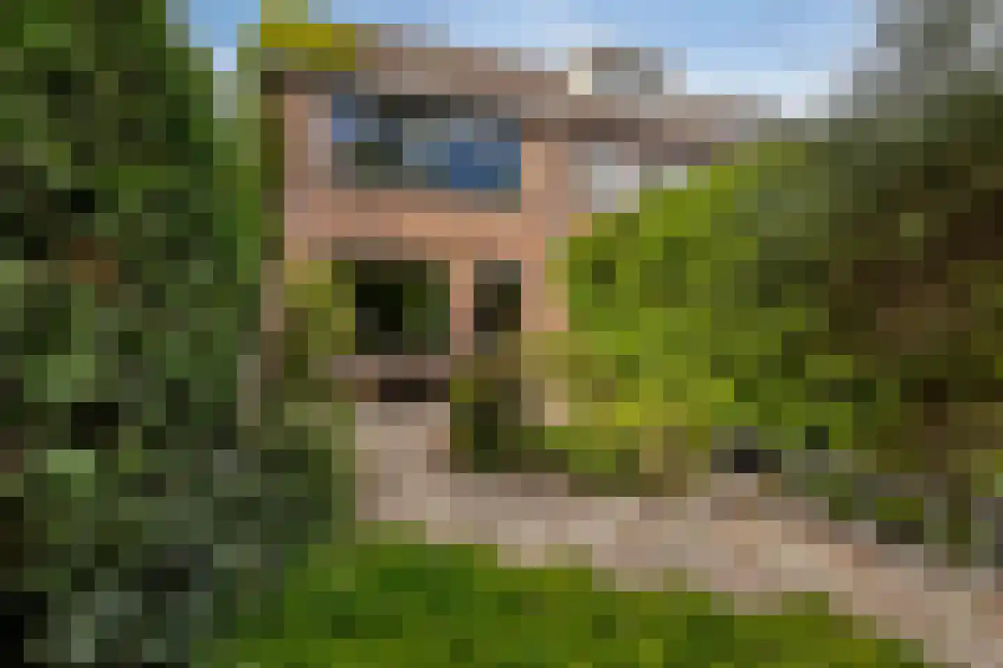 Waterradmolen 22 Heerhugowaard thumbnail 20