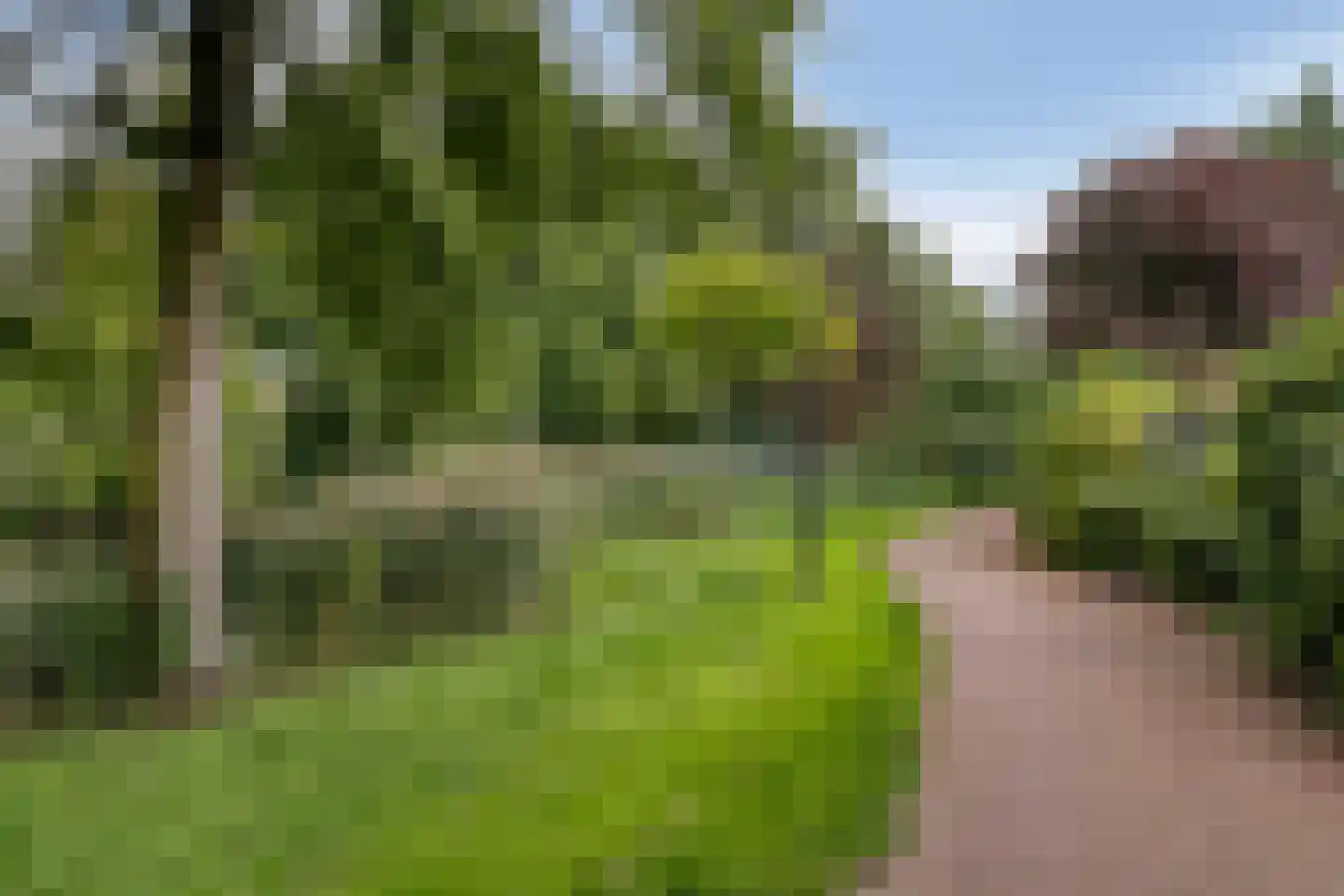 Waterradmolen 22 Heerhugowaard thumbnail 39