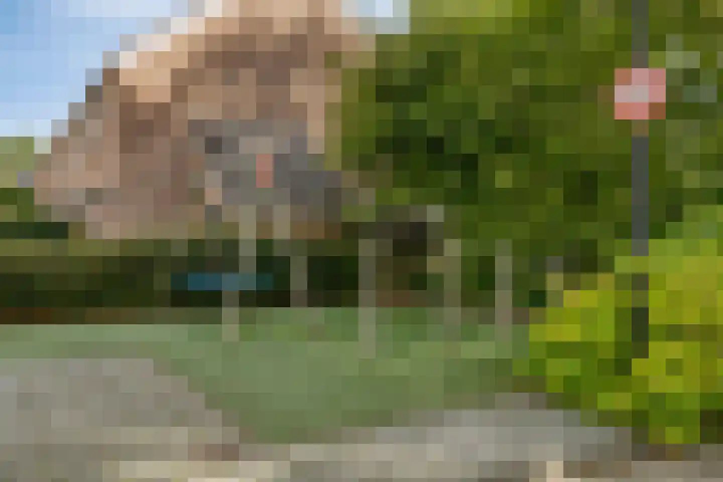 Waterradmolen 22 Heerhugowaard thumbnail 41