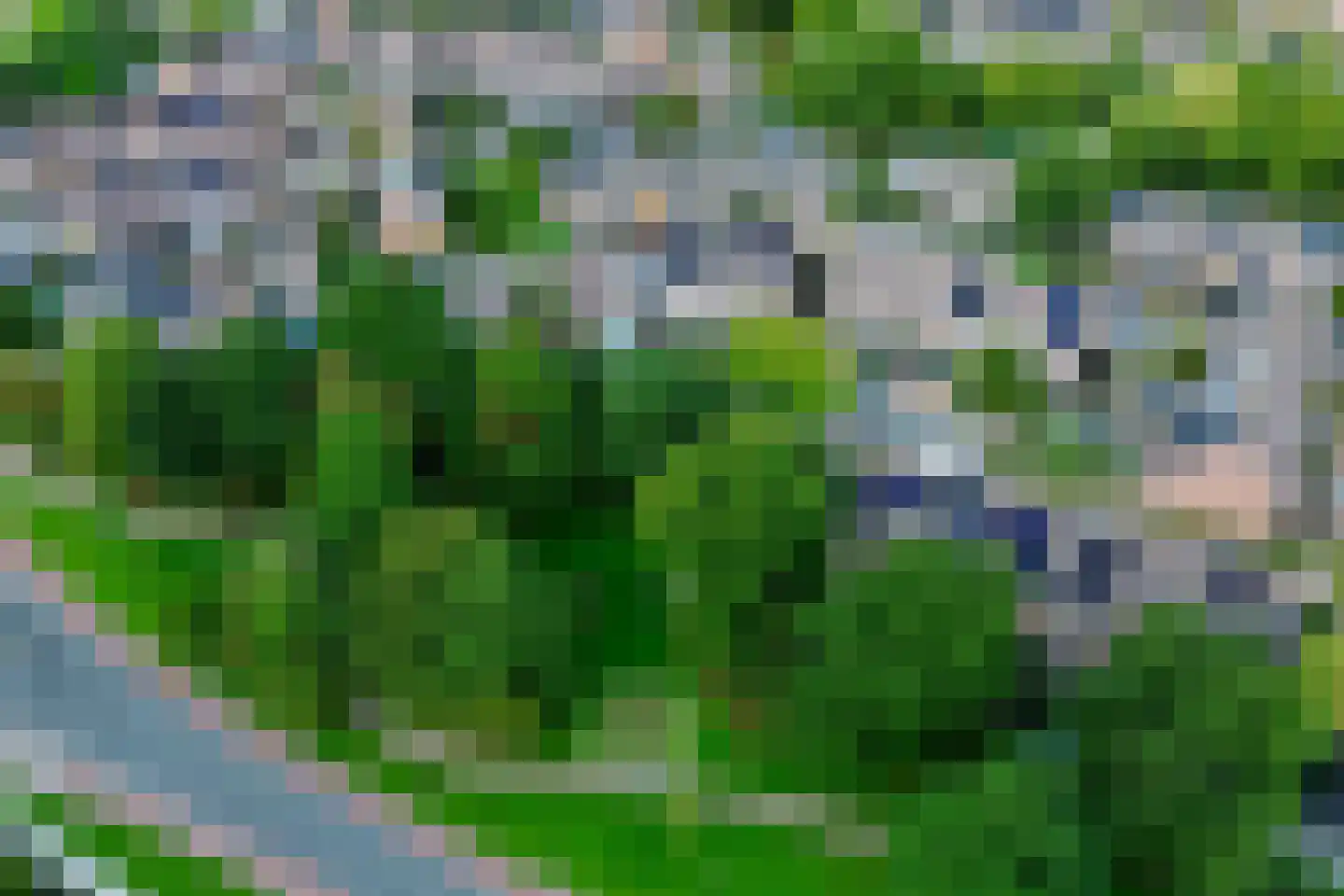 Waterradmolen 22 Heerhugowaard thumbnail 5