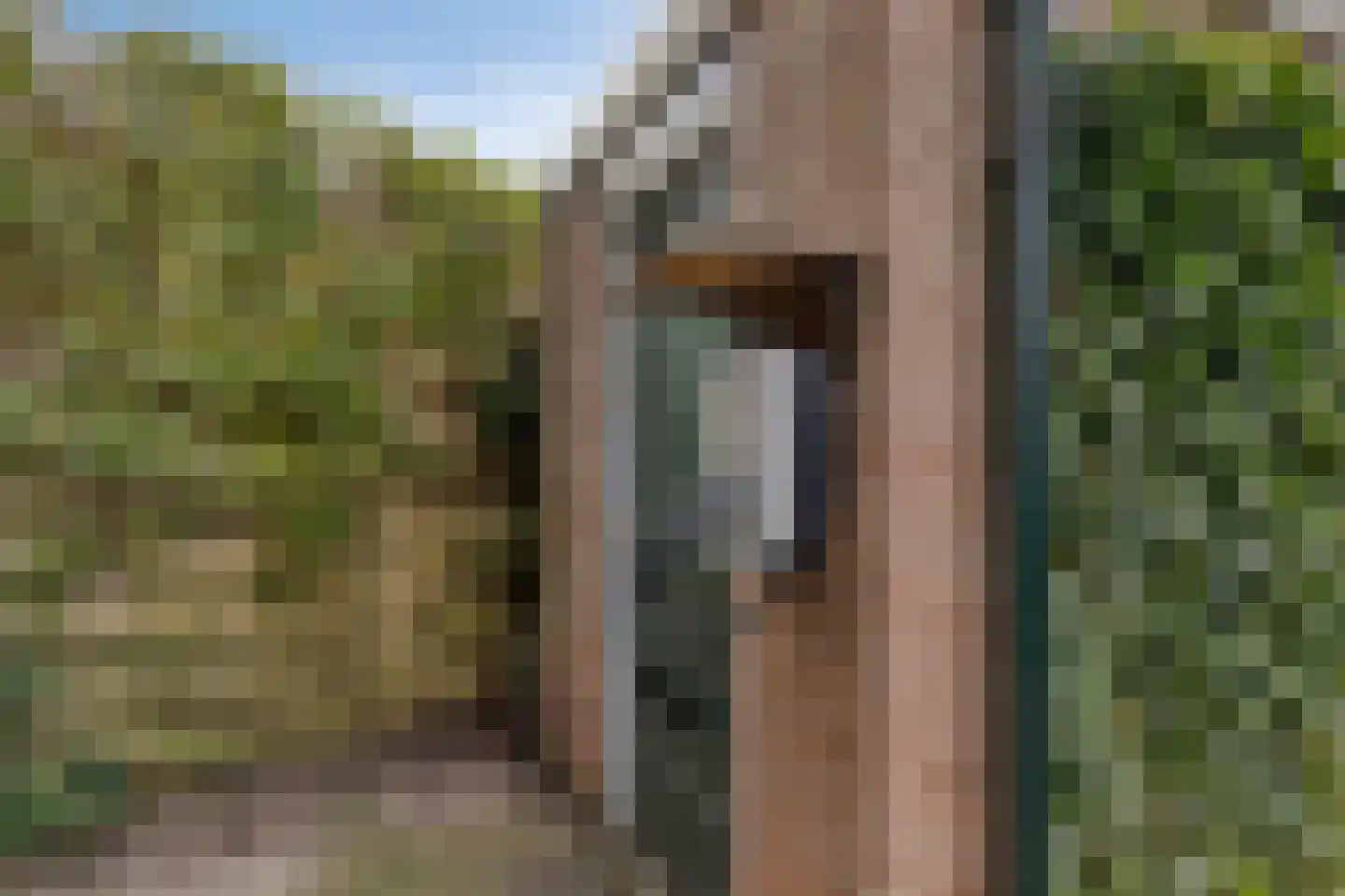 Waterradmolen 22 Heerhugowaard thumbnail 8