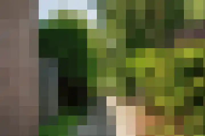Waterradmolen 25 Heerhugowaard thumbnail 30