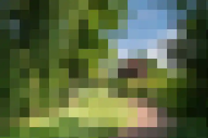 Waterradmolen 25 Heerhugowaard thumbnail 31