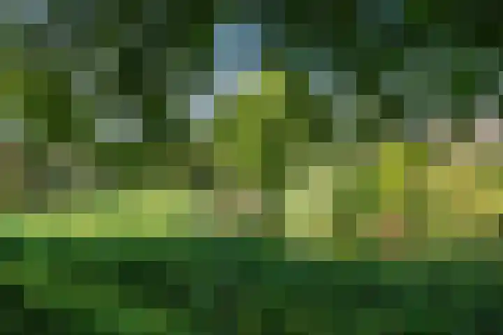 Waterradmolen 25 Heerhugowaard thumbnail 32