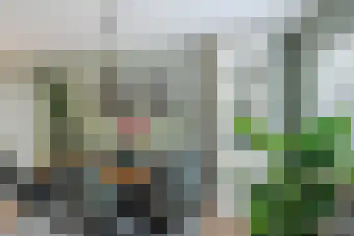 Waterradmolen 25 Heerhugowaard thumbnail 7