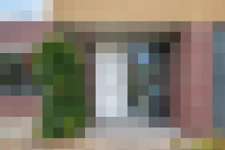 Waterranonkel 6 Heerenveen thumbnail 10