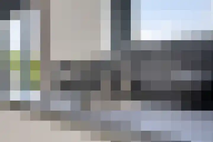 Waterranonkel 6 Heerenveen thumbnail 16