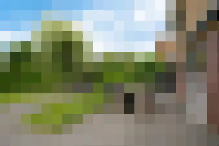 Waterranonkel 6 Heerenveen thumbnail 28