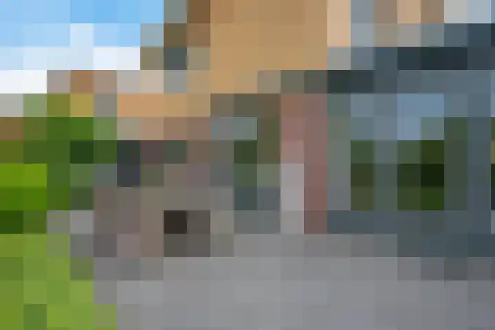 Waterranonkel 6 Heerenveen thumbnail 29