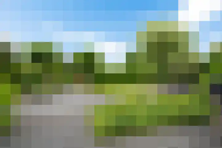 Waterranonkel 6 Heerenveen thumbnail 34