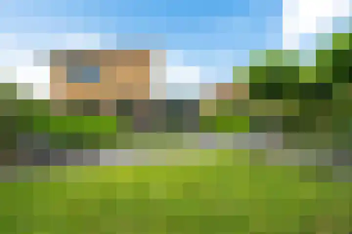 Waterranonkel 6 Heerenveen thumbnail 35