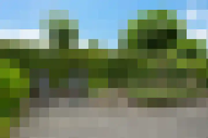 Waterranonkel 6 Heerenveen thumbnail 36
