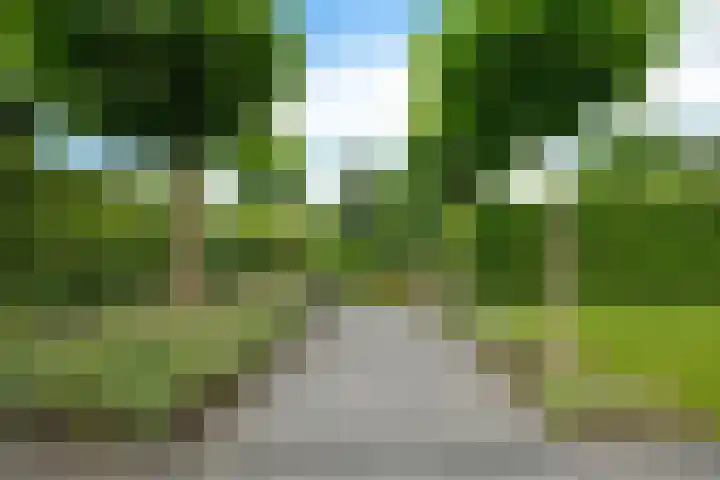 Waterranonkel 6 Heerenveen thumbnail 37