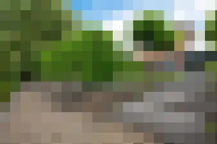 Waterranonkel 6 Heerenveen thumbnail 39