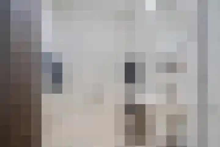 Waterranonkel 6 Heerenveen thumbnail 4