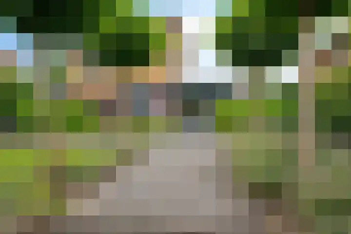 Waterranonkel 6 Heerenveen thumbnail 40