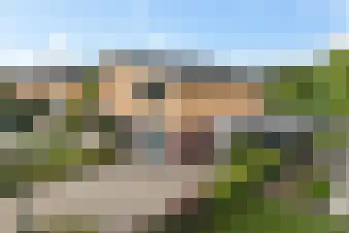 Waterranonkel 6 Heerenveen thumbnail 41