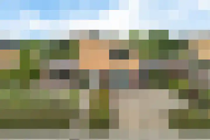 Waterranonkel 6 Heerenveen thumbnail 42