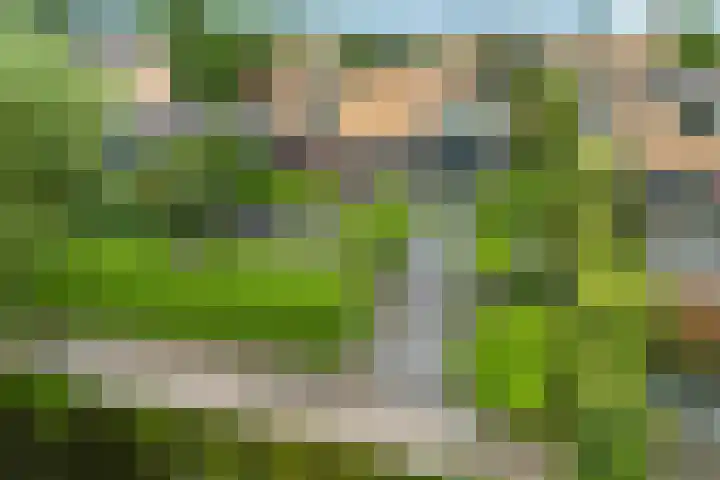 Waterranonkel 6 Heerenveen thumbnail 43