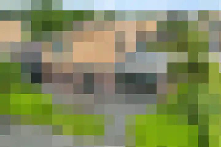 Waterranonkel 6 Heerenveen thumbnail 44