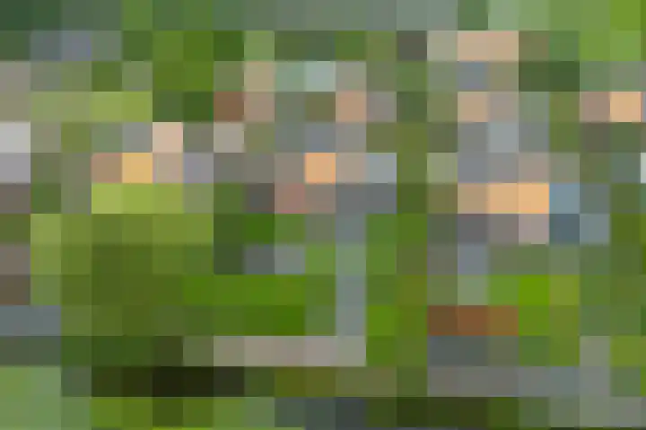 Waterranonkel 6 Heerenveen thumbnail 45
