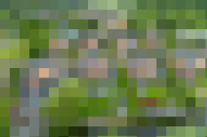 Waterranonkel 6 Heerenveen thumbnail 46