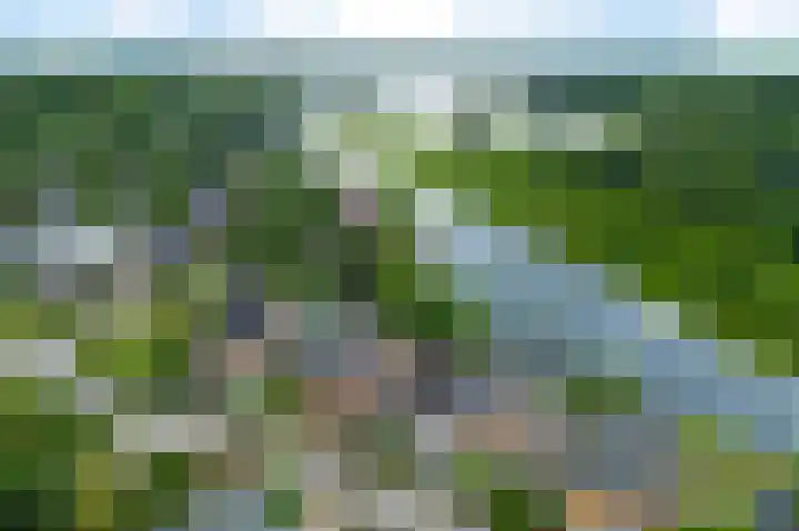 Waterranonkel 6 Heerenveen thumbnail 47