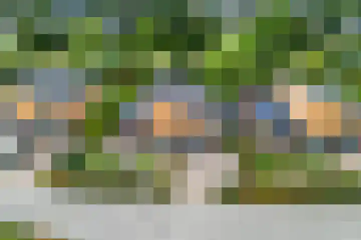 Waterranonkel 6 Heerenveen thumbnail 48