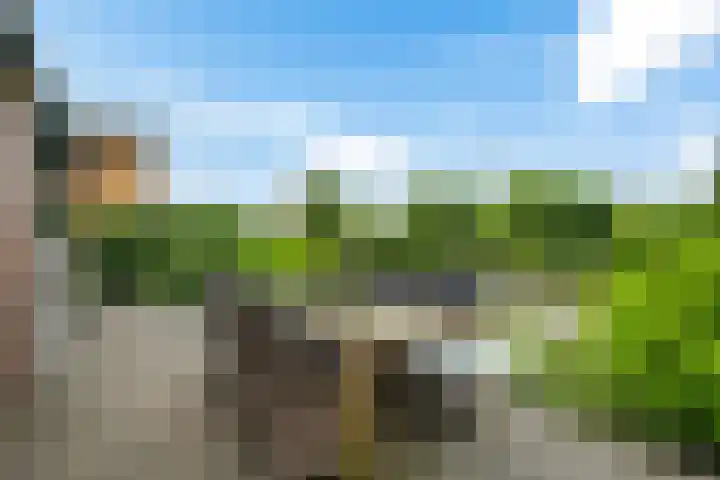 Waterranonkel 6 Heerenveen thumbnail 5