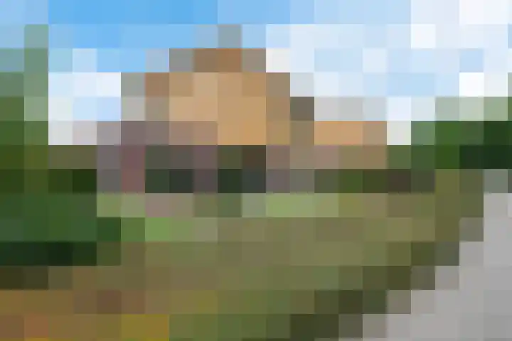Waterranonkel 6 Heerenveen thumbnail 6