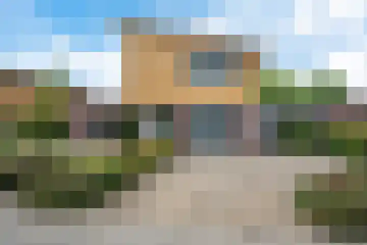 Waterranonkel 6 Heerenveen thumbnail 7