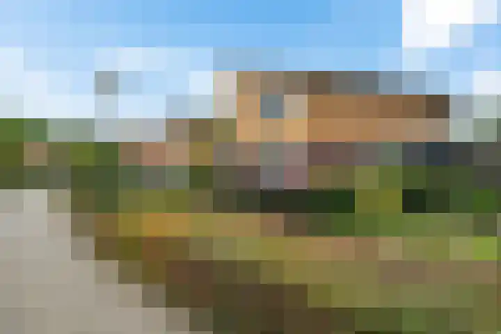 Waterranonkel 6 Heerenveen thumbnail 8