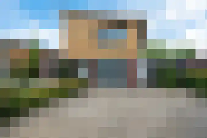 Waterranonkel 6 Heerenveen thumbnail 9