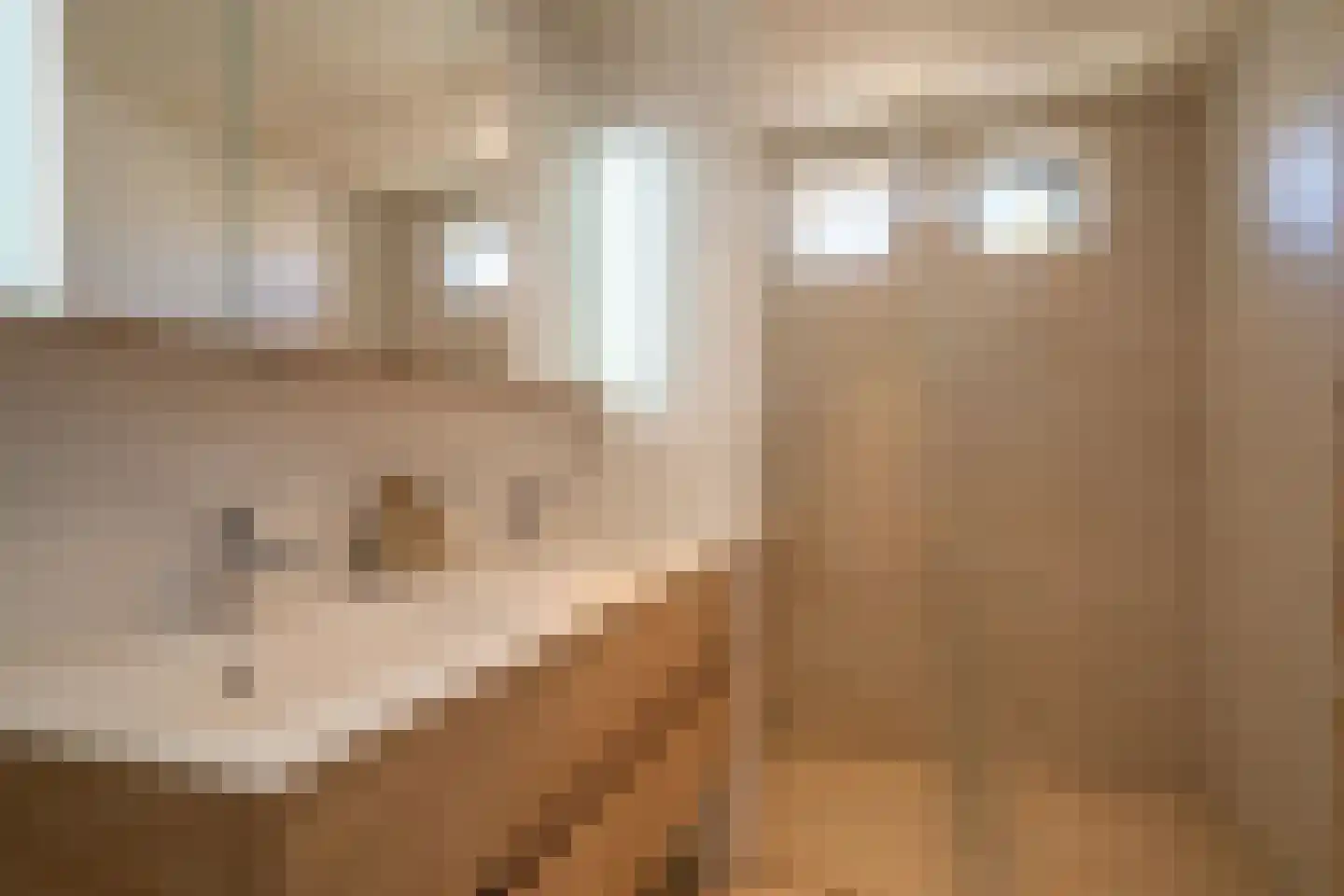 Waterranonkellaan 15 Enschede thumbnail 26