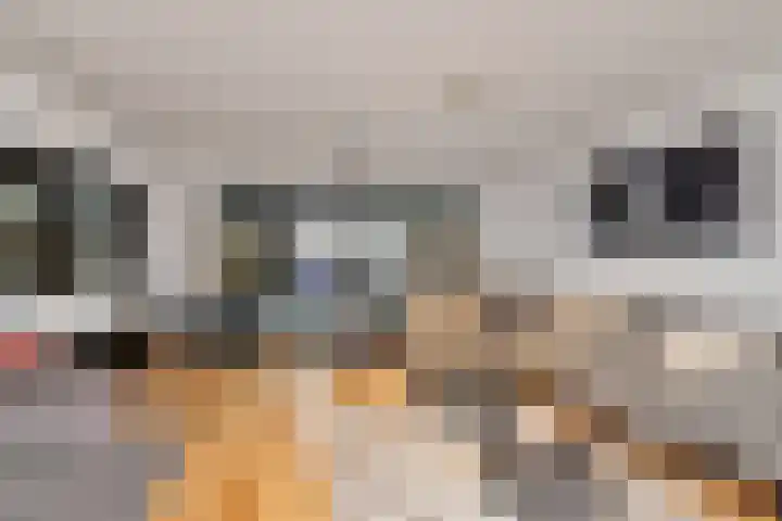 Waterrijklaan 1 Assendelft thumbnail 11