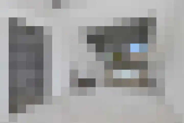 Waterrijklaan 1 Assendelft thumbnail 21