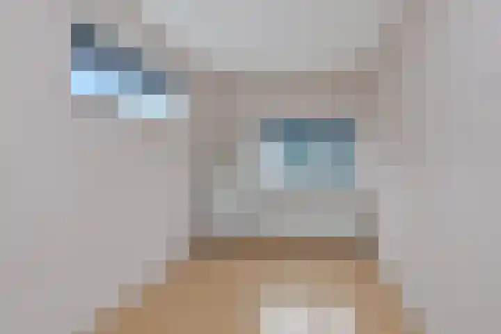 Waterrijklaan 1 Assendelft thumbnail 23