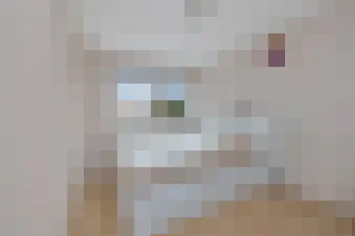 Waterrijklaan 1 Assendelft thumbnail 25